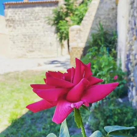 Cal Robusto, In Masia With Horses Siurana (Alt Emporda)