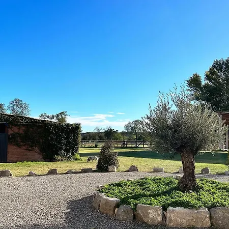 Cal Robusto, In Masia With Horses Apartment