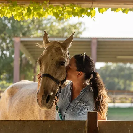 Apartment Cal Robusto, In Masia With Horses