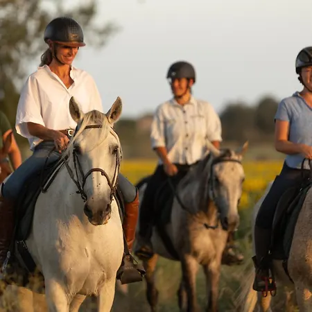 Apartment Cal Robusto, In Masia With Horses *