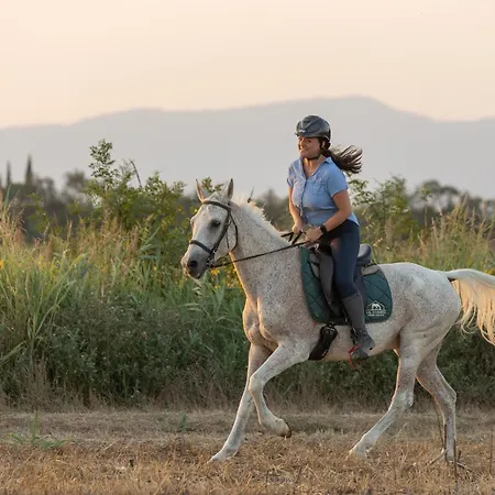 Cal Robusto, In Masia With Horses Apartment *