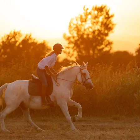 Cal Robusto Turisme Equeestre Appartamento *