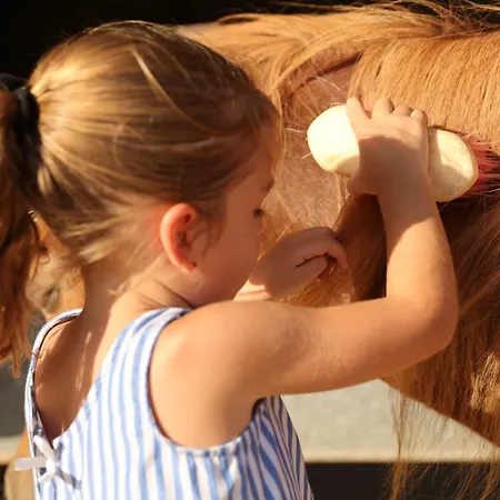 Appartamento Cal Robusto Turisme Equeestre Siurana (Alt Emporda)