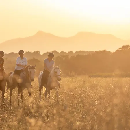 Cal Robusto, In Masia With Horses Apartment