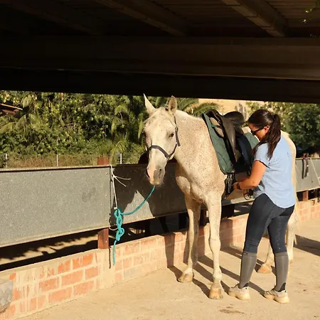 Apartment Cal Robusto, In Masia With Horses Siurana (Alt Emporda)