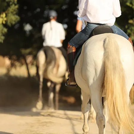 Cal Robusto, In Masia With Horses *