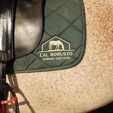 Cal Robusto, In Masia With Horses Siurana (Alt Emporda)