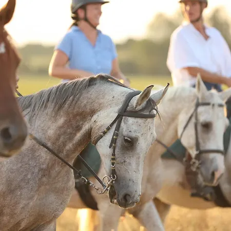 Cal Robusto, In Masia With Horses * Siurana (Alt Emporda)