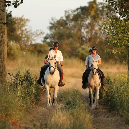 Apartment Cal Robusto, In Masia With Horses *