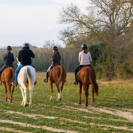 Cal Robusto Turisme Equeestre Appartamento