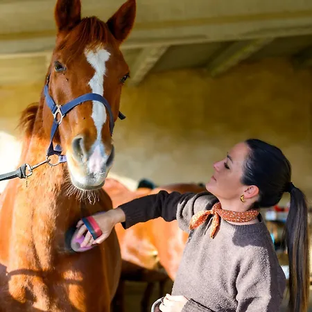 Cal Robusto Turisme Equeestre *